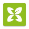 光棍影视2019新光+棍推荐官方版
